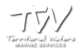 logo.png